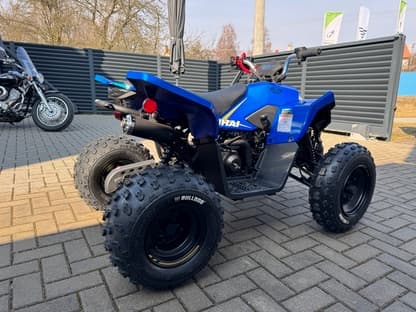 Linhai ATV 110 4X2 EFI CE