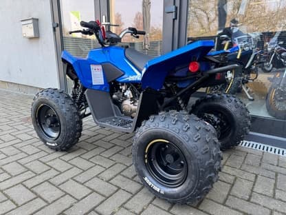 Linhai ATV 110 4X2 EFI CE