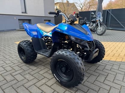 Linhai ATV 110 4X2 EFI CE