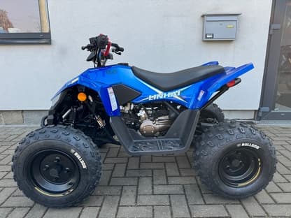 Linhai ATV 110 4X2 EFI CE