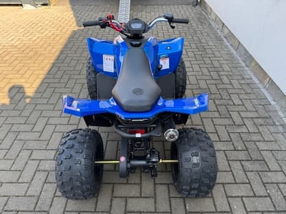 Linhai ATV 110 4X2 EFI CE