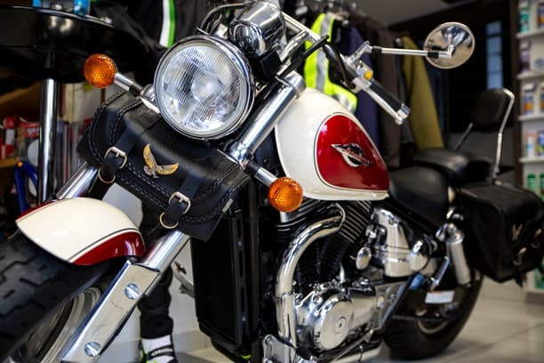 Chopper/Cruiser